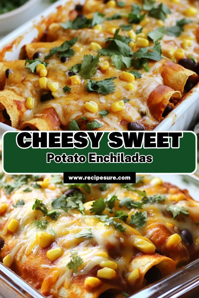 Discover a delightful twist on dinner with this Sweet Potato Black Bean Enchilada Bake! This Vegetarian Enchilada Recipe combines creamy sweet potatoes and protein-packed black beans for a healthy enchilada bake that's perfect for the whole family. It's simple to prepare and bursting with flavor! Save this recipe for a nutritious meal option that's sure to impress. Try it today! #SweetPotatoEnchiladas #BlackBeanEnchiladaBake #HealthyEnchiladaBake #VegetarianEnchiladaRecipe