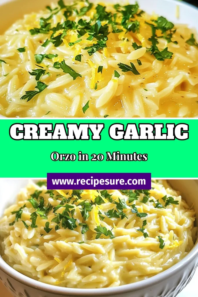Discover the ultimate comfort food with this Creamy Garlic Parmesan Orzo! This easy orzo pasta recipe combines buttery garlic, rich cream, and savory Parmesan cheese for a delicious vegetarian dish that's perfect for any meal. Ready in just 20 minutes, it's a must-try for cheese lovers. Bring warmth to your dinner table with this creamy orzo with cheese and get ready to impress your family. Save this recipe for a cozy night in! #OrzoPastaRecipe #EasyGarlicParmesanDish #CreamyOrzoWithCheese #VegetarianComfortFood